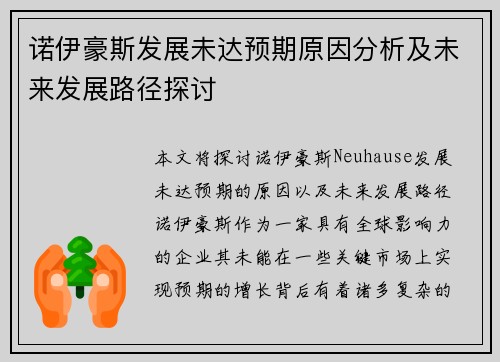 诺伊豪斯发展未达预期原因分析及未来发展路径探讨 诺伊豪斯发展未达预期原因分析及未来发展路径探讨