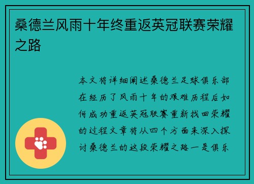 桑德兰风雨十年终重返英冠联赛荣耀之路
