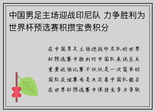 中国男足主场迎战印尼队 力争胜利为世界杯预选赛积攒宝贵积分
